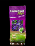 20332 JARABE TOTUMO GUALANDAY ELIXIR X500ML
